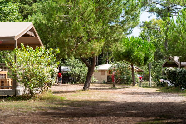 Camping La Côte Sauvage *** Charente Maritime photo 1 Homair