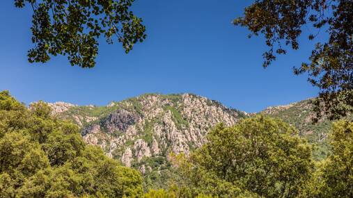 Camping Acqua e Sole **** photo 6 Corse Homair