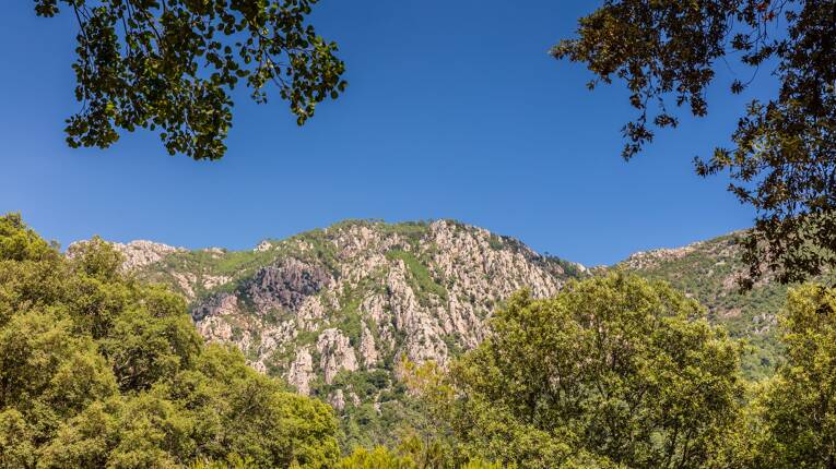 Camping Acqua e Sole **** photo 6 Corse Homair