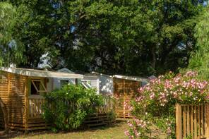 Camping Via Romana *** Corse photo 2 Homair