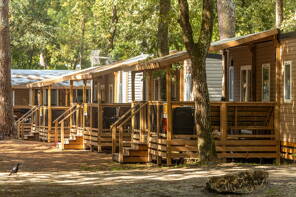 Camping Fontaine Vieille **** Gironde foto 3 Homair