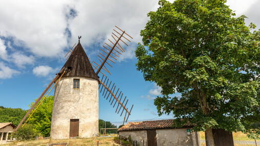 Camping Le Vieux Moulin *** foto 6 Gironde Homair