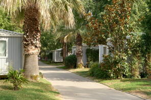 Camping L'Hippocampe ***** Languedoc Roussillon photo 2 Homair