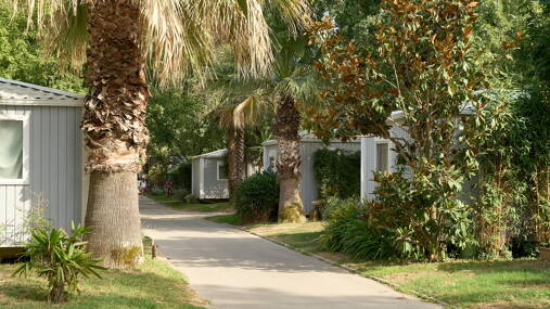 Camping L'Hippocampe ***** foto 2 Languedoc Roussillon Homair