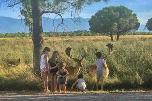 Camping Les Fontaines *** Languedoc Roussillon foto 5 Homair