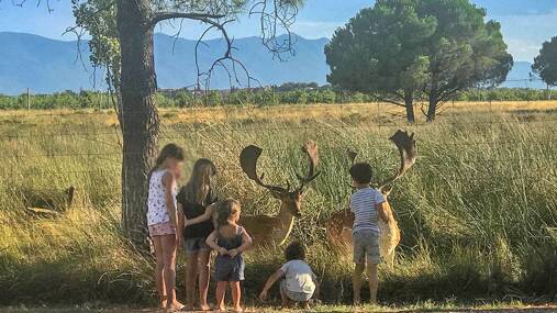 Camping Les Fontaines *** foto 5 Languedoc Roussillon Homair
