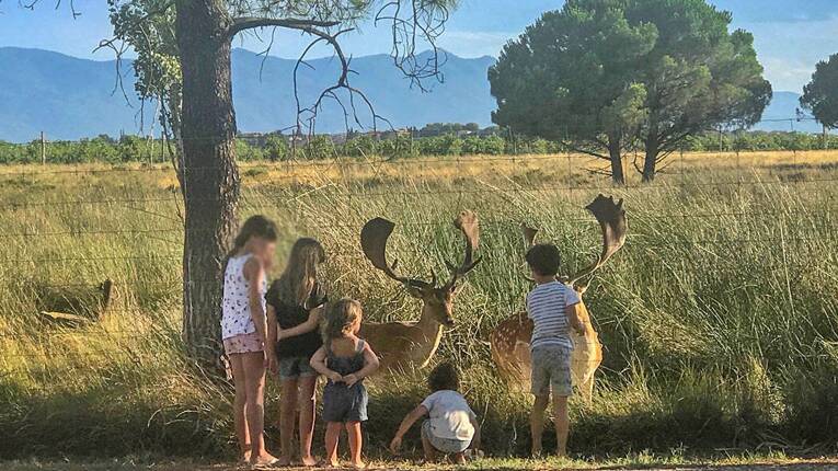 Campsite Les Fontaines *** photo 5 Languedoc Roussillon Homair