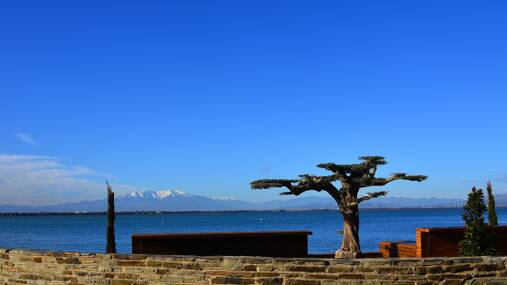 Camping Oasis California **** foto 6 Languedoc Roussillon Homair
