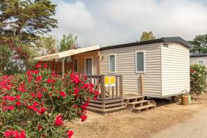 Camping Oasis California **** Languedoc Roussillon photo 3 Homair
