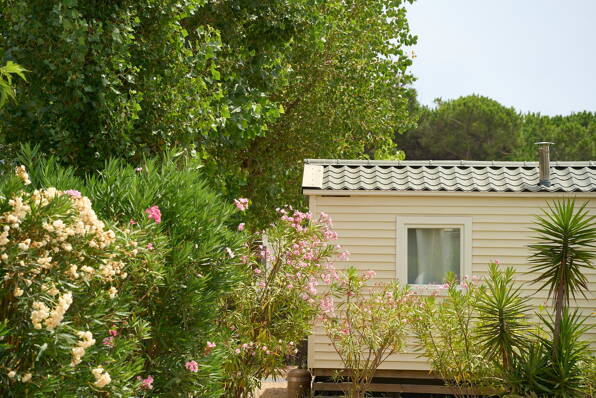 Camping Dunes et Soleil **** Languedoc Roussillon foto 2 Homair