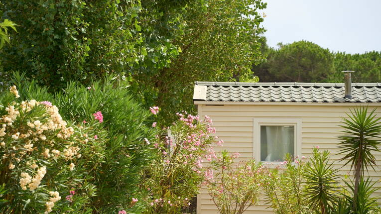 Camping Dunes et Soleil **** foto 2 Languedoc-Rosellón Homair