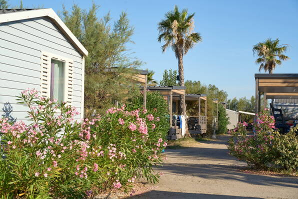 Camping Le Palavas **** Languedoc-Rosellón foto 2 Homair