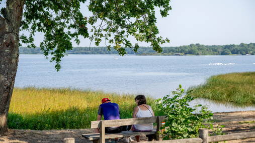 Camping Rivages des Landes **** photo 6 Landes Homair