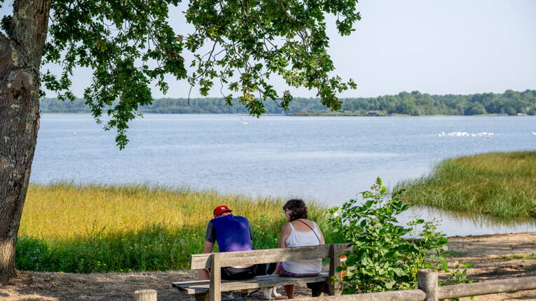 Camping Rivages des Landes **** photo 6 Landes Homair