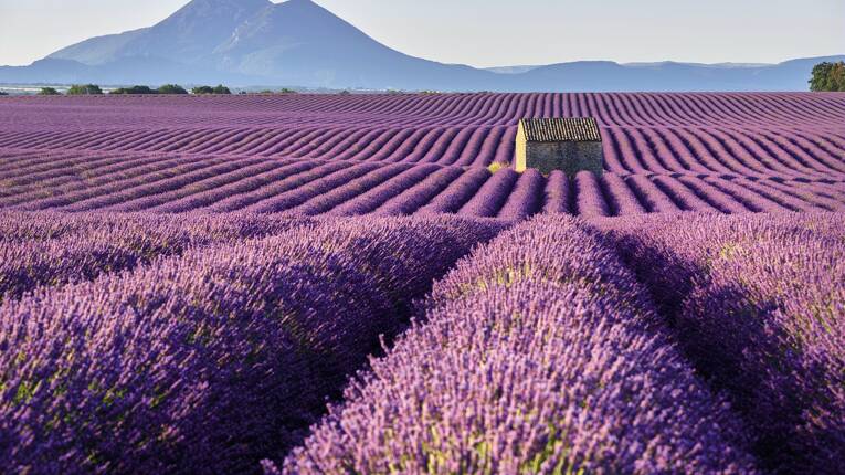 Campsite Verdon Parc ***** photo 7 Provence French Riviera Homair