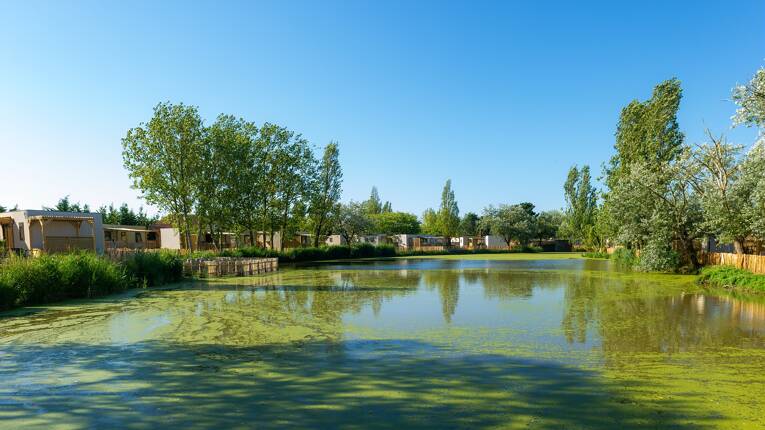 Camping Le Jard **** photo 3 Vendée Homair