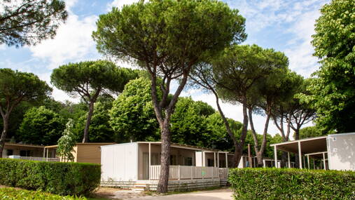 Camping Hu I Pini Village **** photo 2 Latium Homair
