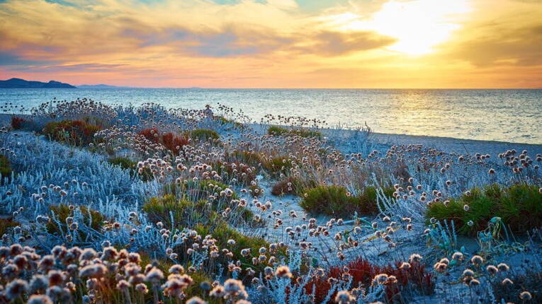 Campsite Baia Paradiso *** photo 5 Sardinia Homair