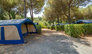 Camping Valle Gaia **** Toscane foto 2 Homair