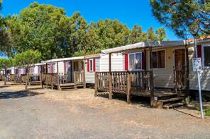 Camping Le Tamerici *** Toscane foto 3 Homair