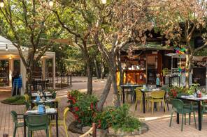 Camping Hu Montescudaio Village **** Toscane foto 3 Homair