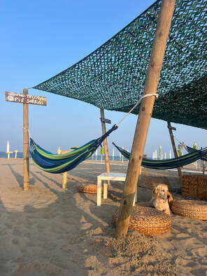 Campsite Grande Italia *** Veneto photo 5 Homair