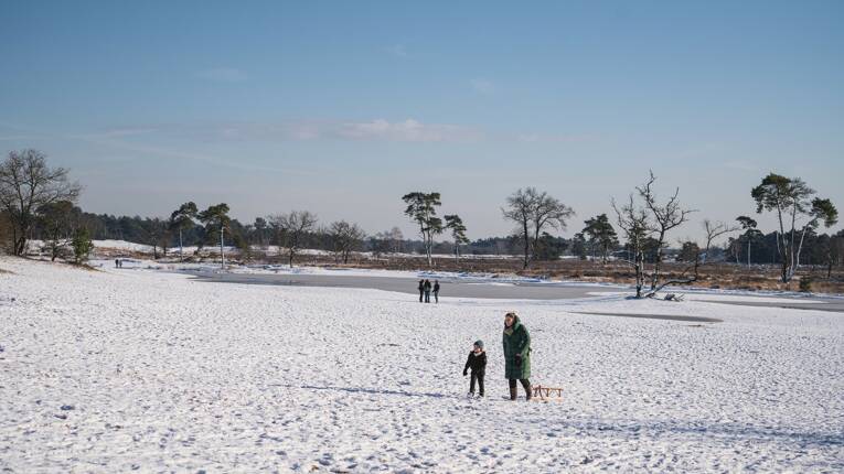 Camping Marvilla Parks Kaatsheuvel **** photo 6 Brabant-Septentrional Homair