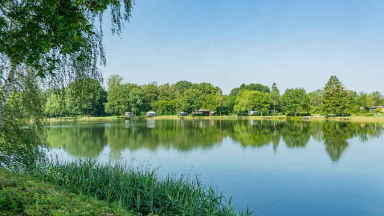 Camping Ter Spegelt ***** foto 5 Noord-Brabant Homair