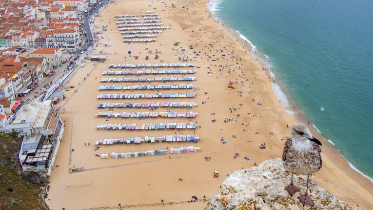 Camping Colina do Sol **** photo 6 Centre Portugal Homair