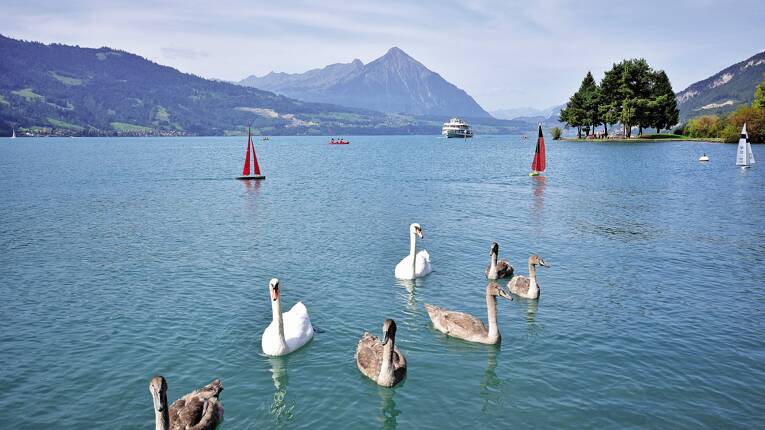 Camping Manor Farm ***** photo 6 Berne Homair