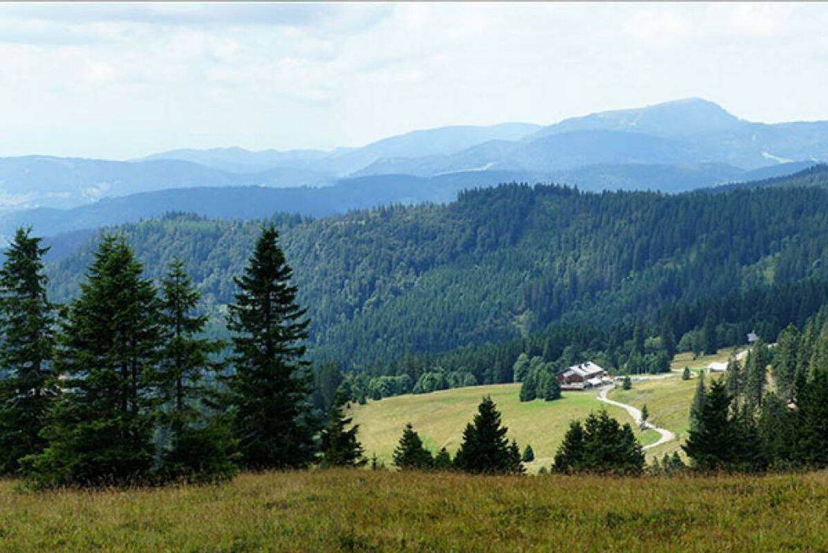 Campeggio Kinzigtal, Germania