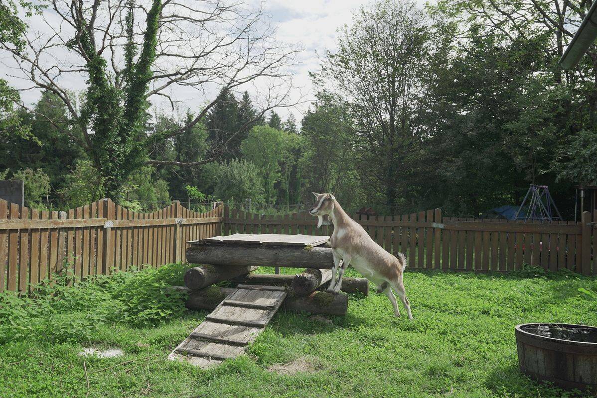 Campeggio Gitzenweiler Hof