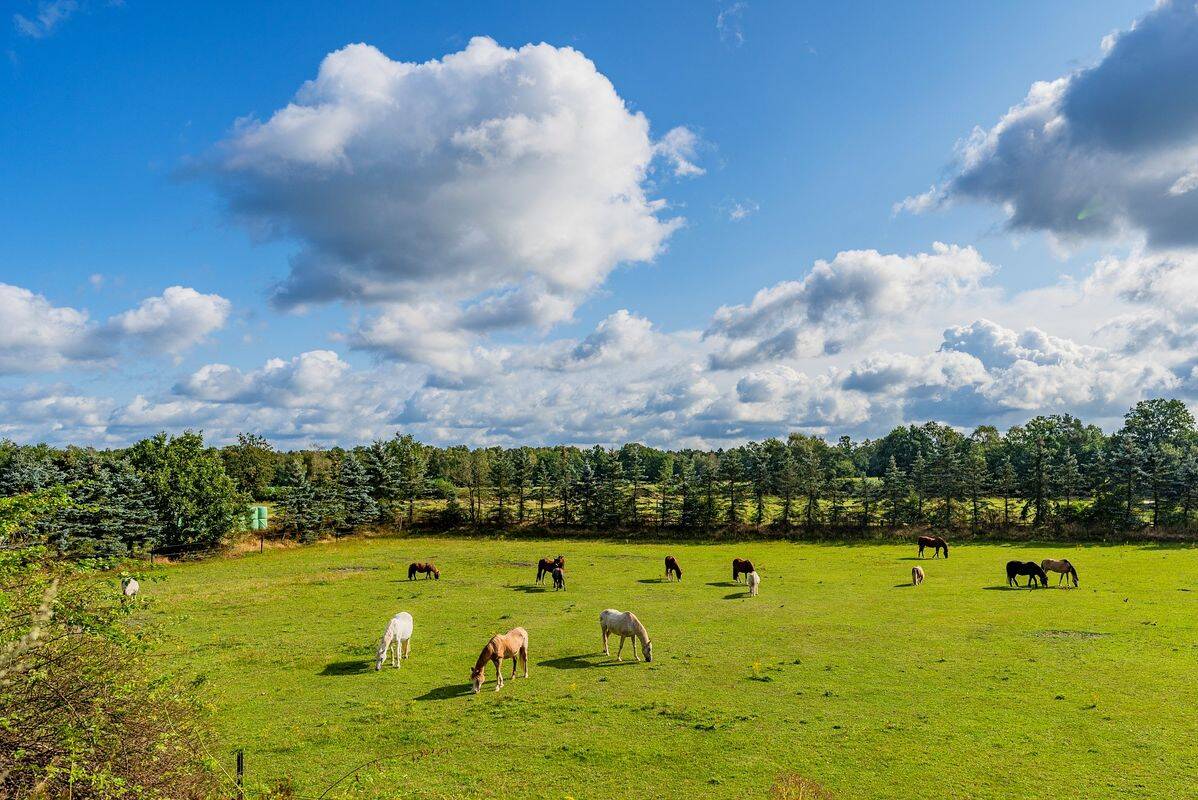 Campeggio Südsee-Camp, Germania
