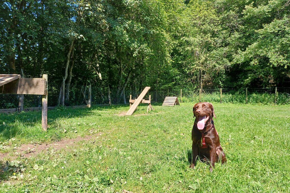 Campeggio Wirfttal, Germania