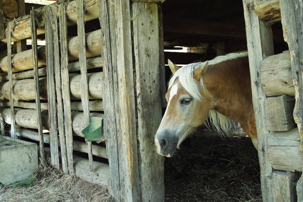 Camping Sportcamp Woferlgut, Oostenrijk, Stiermarken