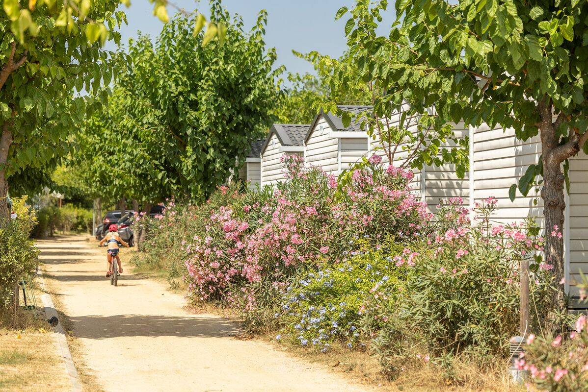 Campsite Alannia El Pinar, Spain, Costa Brava, Blanes