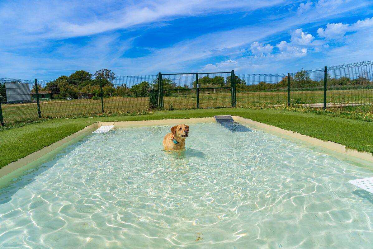 Campsite Castell Mar, Spain, Costa Brava, Empuriabrava