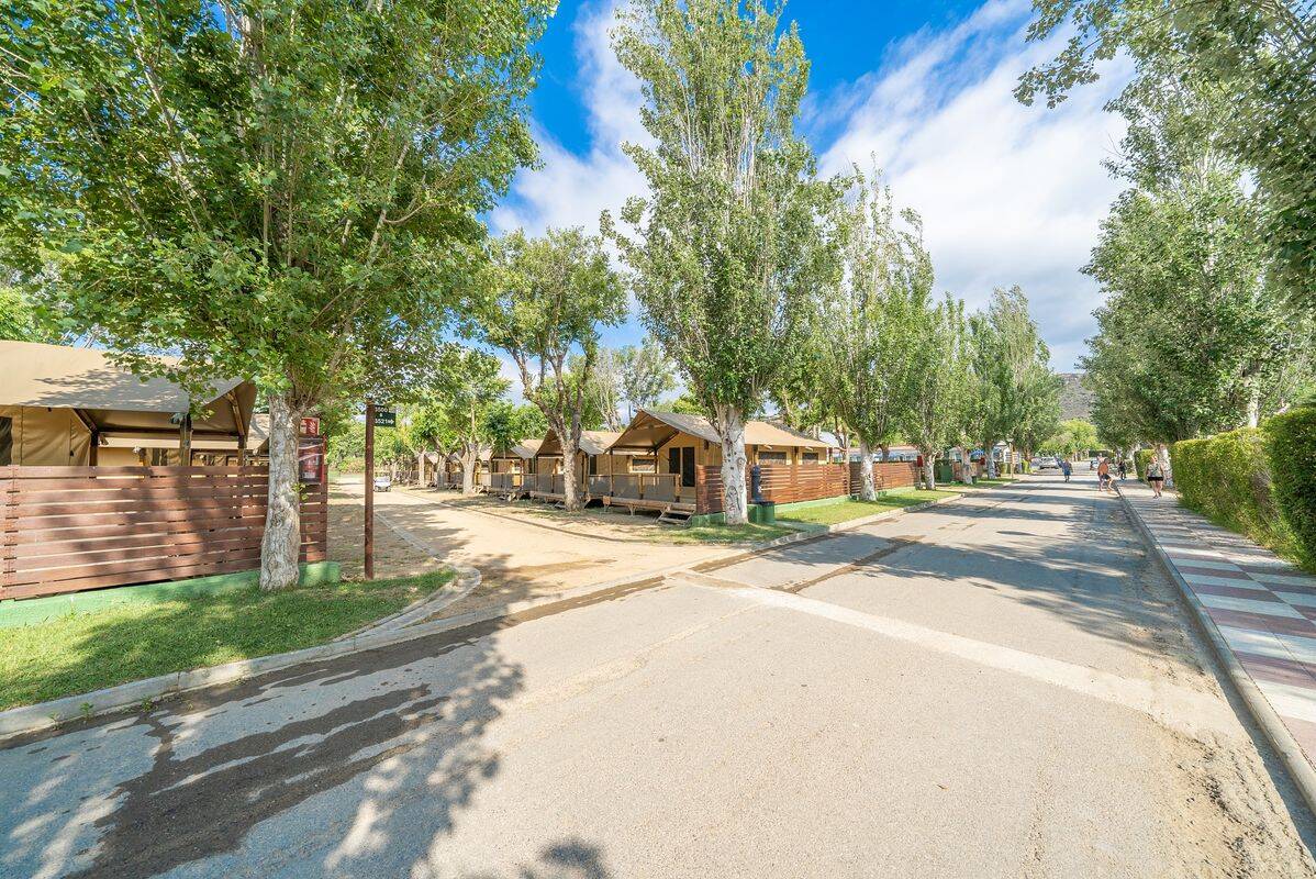 Campsite El Delfin Verde Platja d'Aro, Spain, Costa Brava, Platja d'Aro