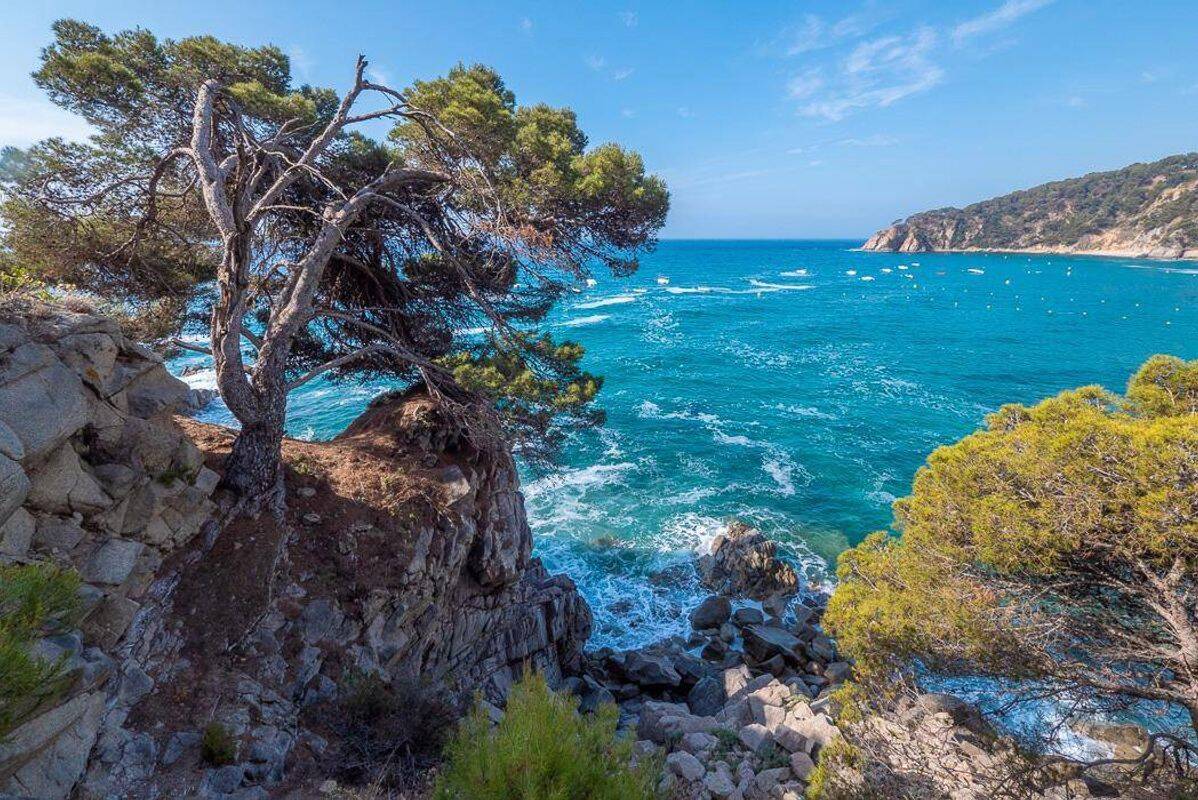 Campeggio Cala LLevado, Spagna, Costa Brava