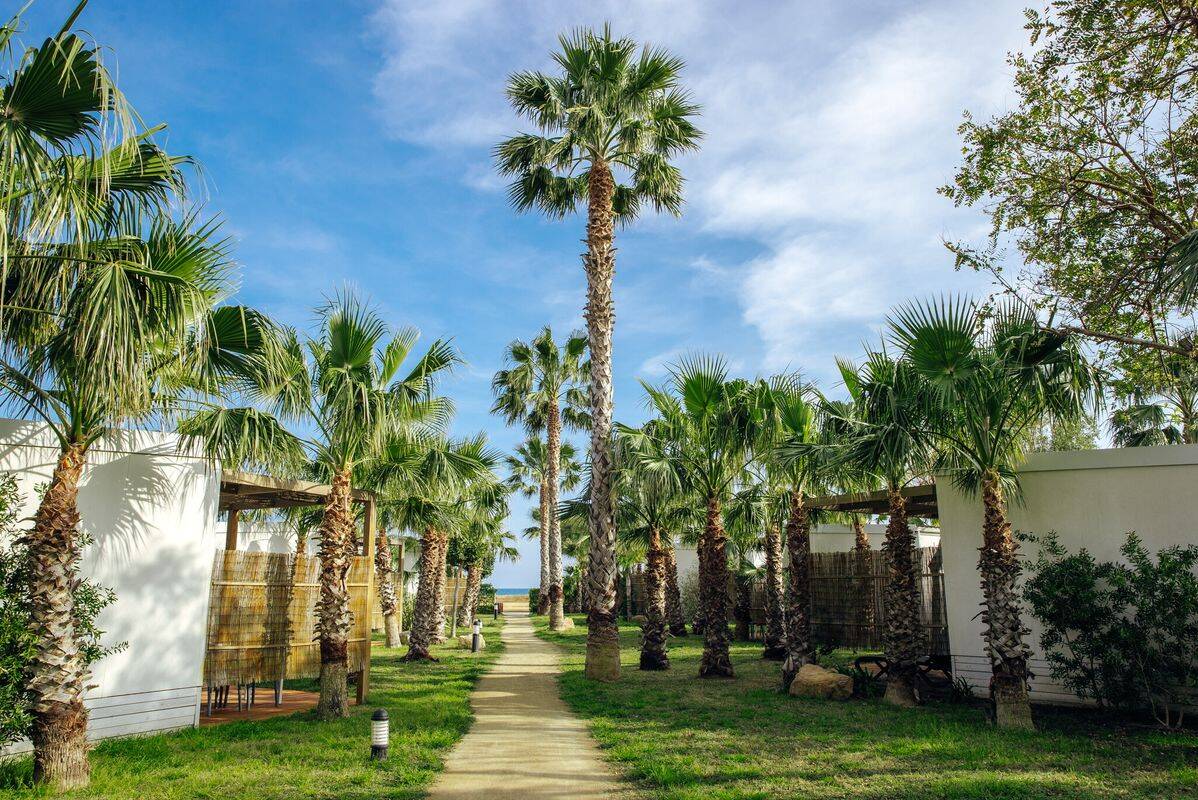 Campsite Alannia Els Prats, Spain, Costa Daurada