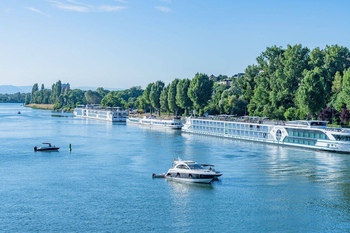 Camping L'Ile du Rhin, Frankrijk