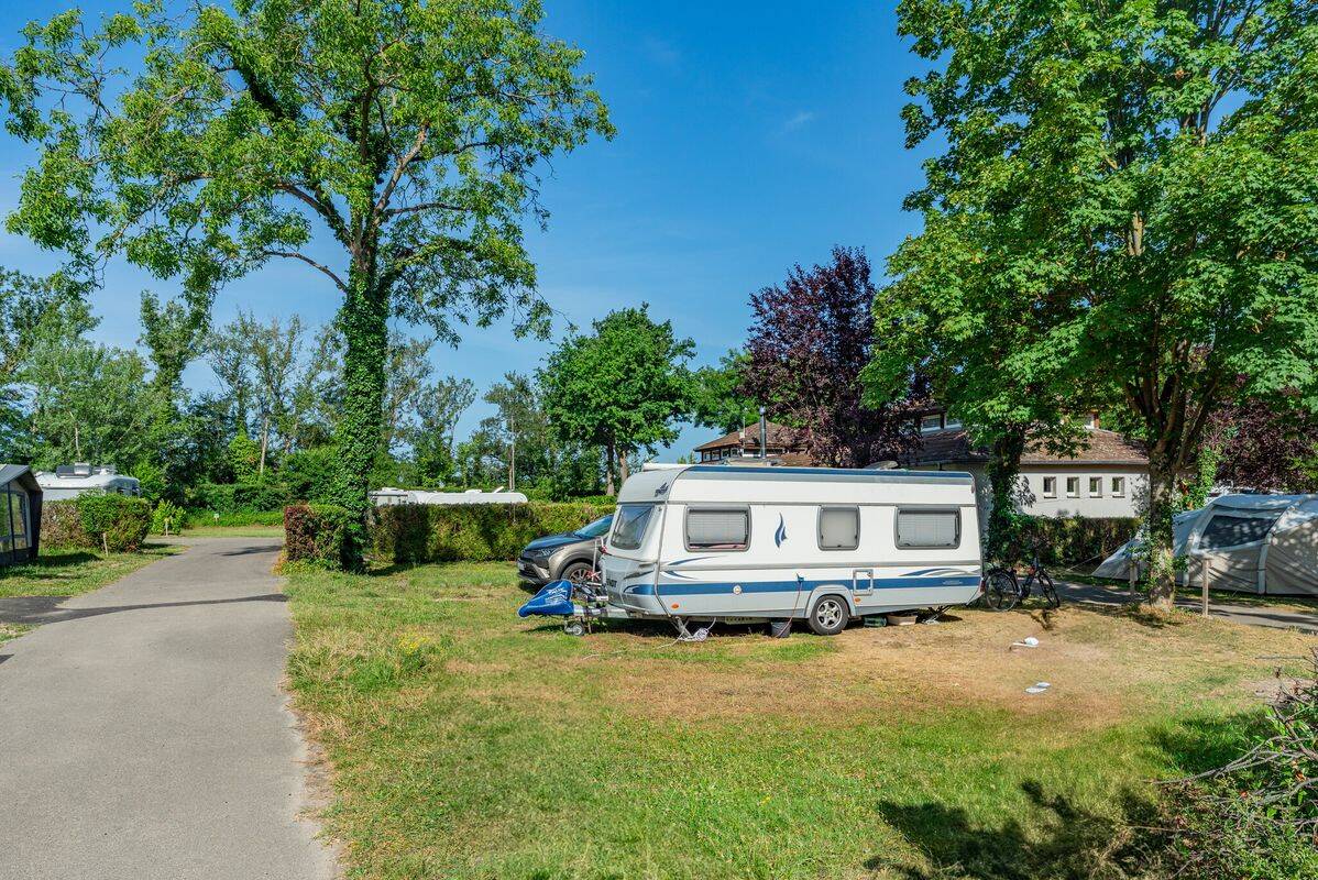 Campsite L'Ile du Rhin, France