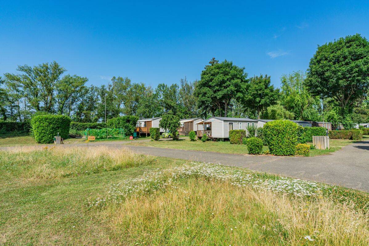 Camping L'Ile du Rhin, Frankrijk