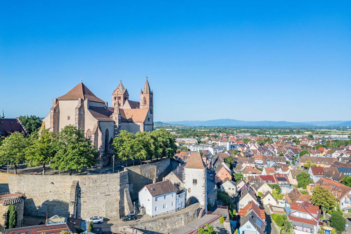Camping L'Ile du Rhin, Frankrijk