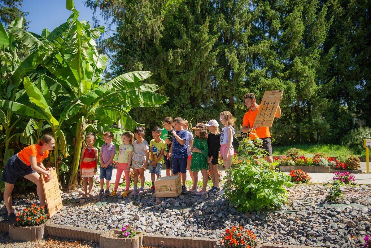Campsite Le Ried, France
