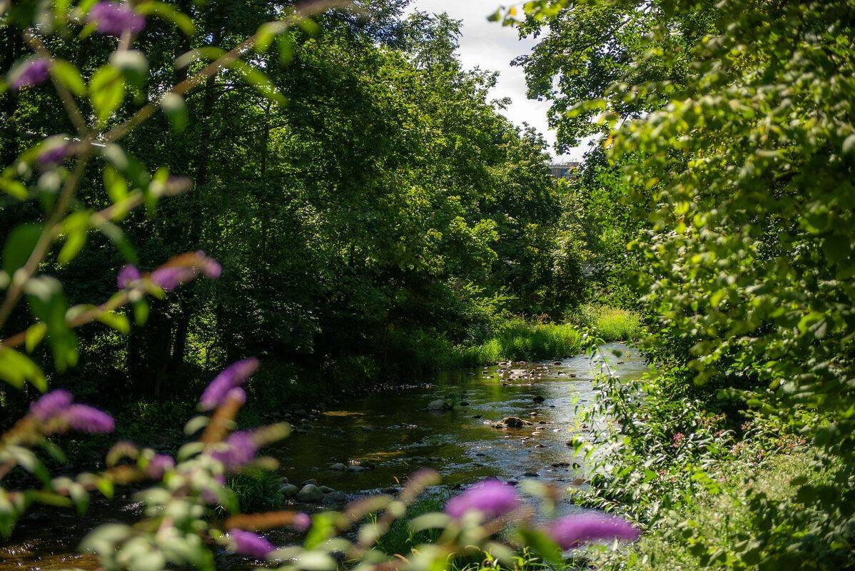 Campeggio Le Parc de la Fecht, Francia