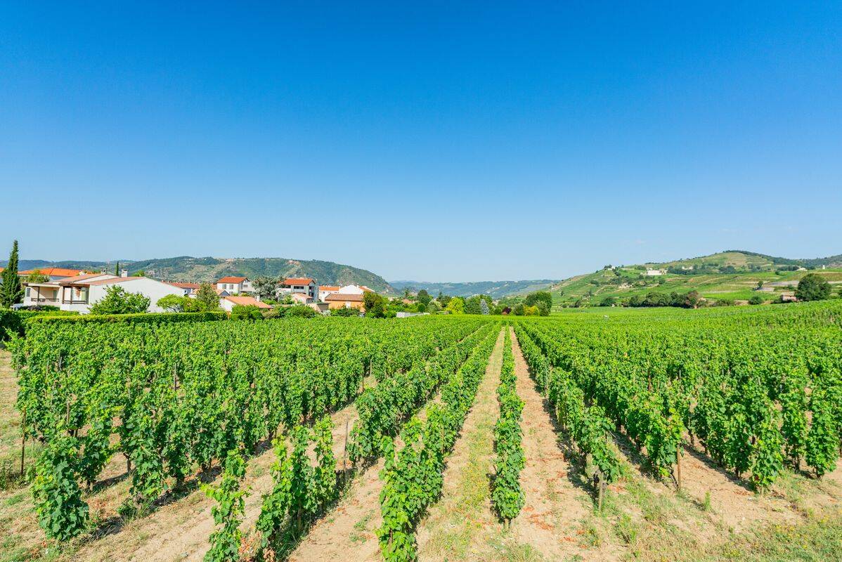 Campsite La Grand'Terre , France, Ardèche