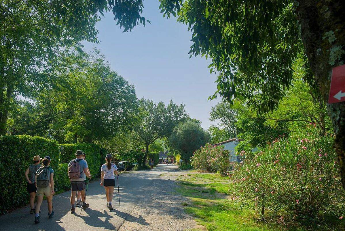 Campsite Le Petit Bois, France, Ardèche