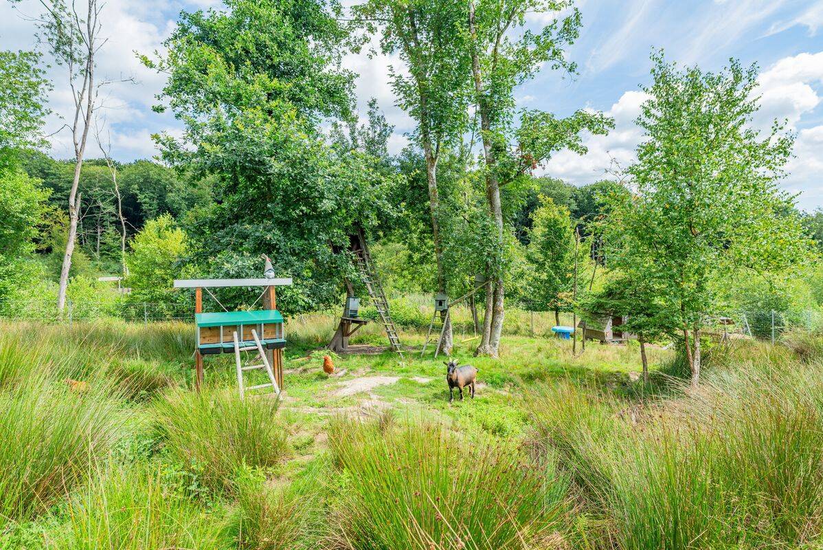 Campsite Lac des Vieilles Forges, France, Ardennes, Les Mazures