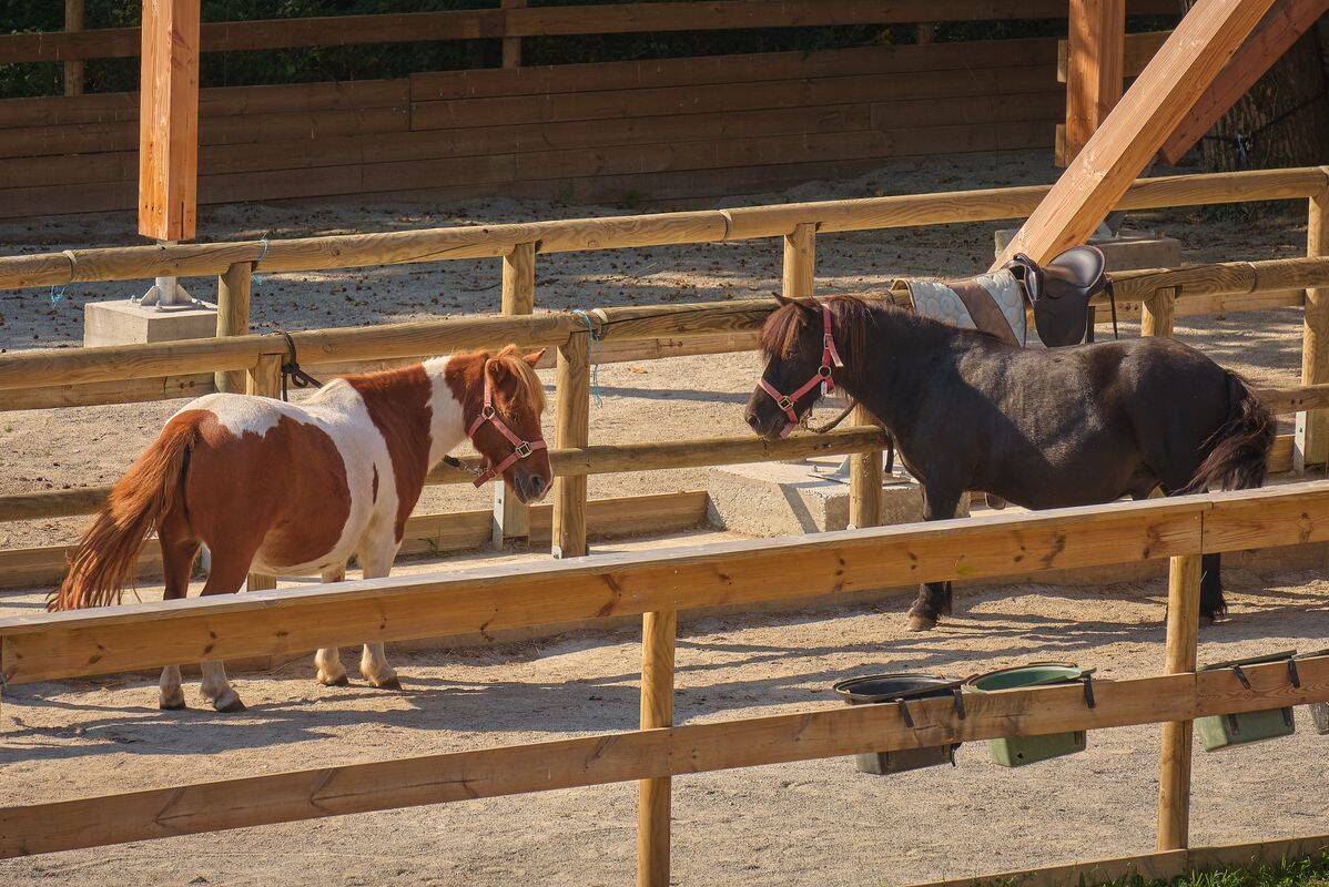 Camping Le Domaine d'Inly, Francia, Bretagne